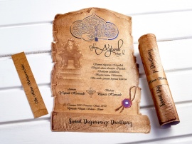 Aras Davetiye 4993
